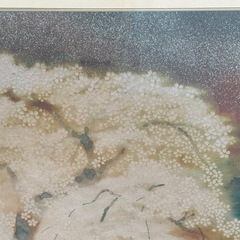 絵画【夜桜】 微細なパールのような煌めきとひとひらの花びらまで描かれた美しい絵の画像