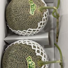 熊本産　メロン　特上肥後グリーン　贈答用　１箱（特大サイズ）の画像