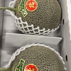 熊本産　メロン　特上肥後グリーン　贈答用　１箱（特大サイズ）の画像