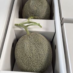 熊本産　メロン　特上肥後グリーン　贈答用　１箱（特大サイズ）の画像