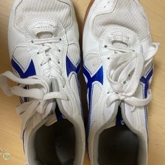 体育館シューズ 26cm ほぼ美品 引っ越す為早めに！
