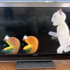 テレビ　訳あり　46型の画像