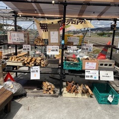 🏕️薪🪵1キロ100円で！