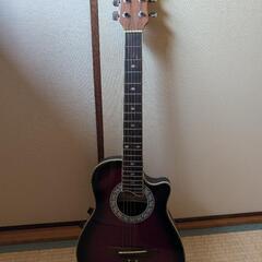ProMartin　mea350rds