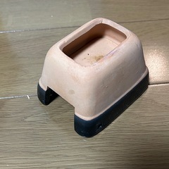爬虫類　ウェットシェルターS