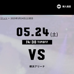 キングス　CSファイナルチケット