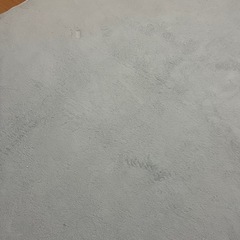 ラグ