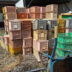 農業用コンテナ　キャリー