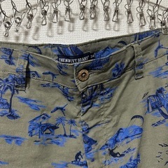 The new ivy brand 短パンの画像