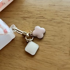 AirPods proケースの画像