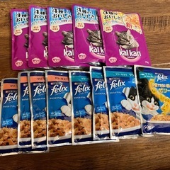 ※お渡し決定　猫ごはん　パウチ　ランダムセット