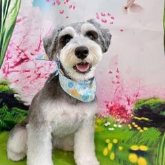 犬友達