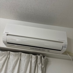 白くまくん