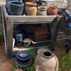 メダカ飼育　鉢　盆栽鉢