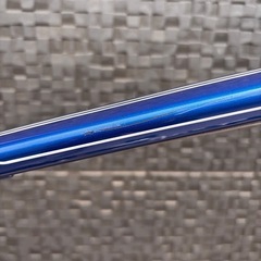 GIANT  Escape RX  エビホーンカスタムの画像