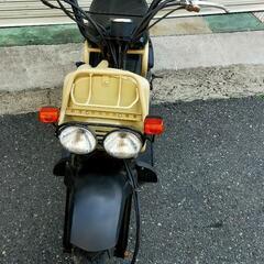 HONDA ズーマーAF58 23864キロの画像