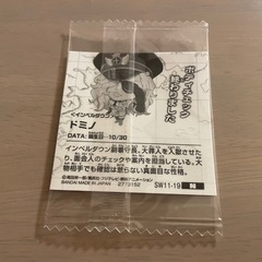 ワンピースウエハース ドミノの画像