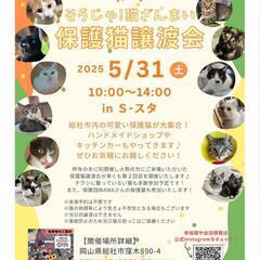 保護猫譲渡会