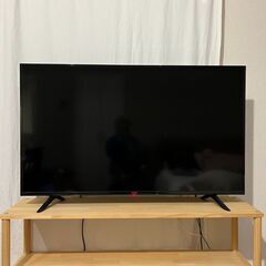 50V アイリスオーヤマ 4K対応 液晶テレビ 【50UB10P】