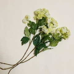無料　造花②