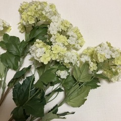 無料　造花②の画像