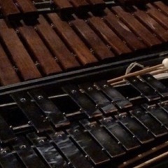 町内会のお祭りや各種イベントにて演奏を行います！