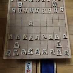 将棋盤と将棋の駒★へそなし