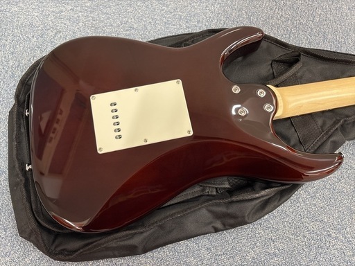 SCHECTER OL-BH Ultimate Brown Burst  