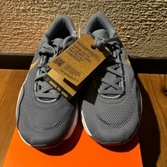 新品　ナイキ レジェンド エッセンシャル 3 ネクスト ネイチャー 26cmの画像