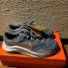 新品　ナイキ レジェンド エッセンシャル 3 ネクスト ネイチャー 26cmの画像