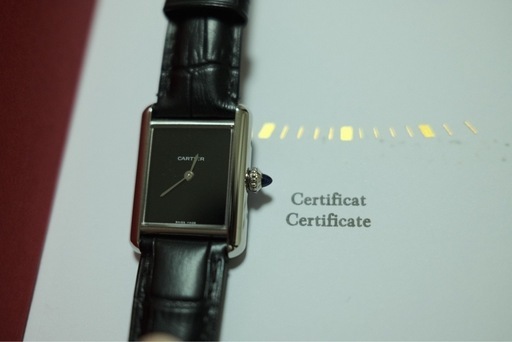 cartier wsta0071