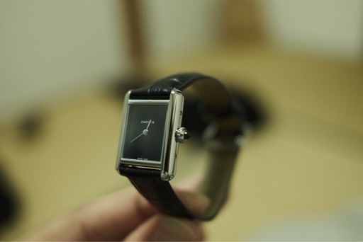 cartier wsta0071