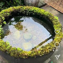 水瓶、火鉢、睡蓮鉢