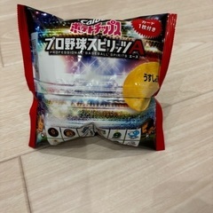 48袋　ポテトチップス