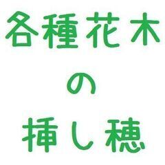 各種花木 / 枝をお好きに採って