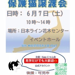 保護猫譲渡会in花木センター 20250607