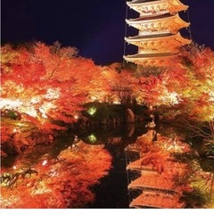 【京都ファン必見！】Kindle電子書籍『魅力いっぱい 京…