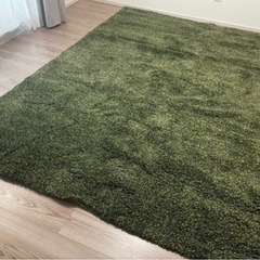 IKEA ラグマット VINDUM ヴィンドゥム グリーン