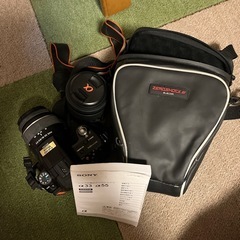 SONYデジタル一眼カメラ