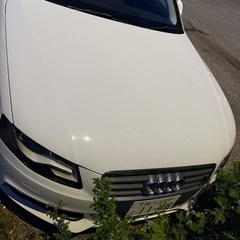 Audi A4 スポーツグレードの画像