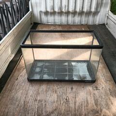 （決定）水槽の画像