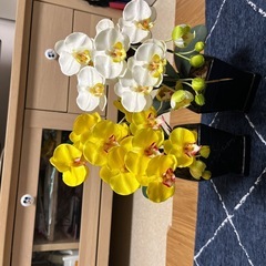 蘭造花
