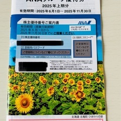【最新】ANA株主優待券とグループ優待券