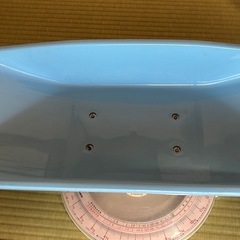 受渡決定！！　ベビースケール