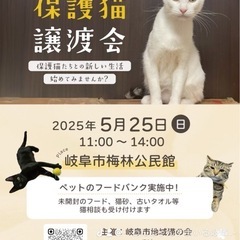 岐阜市 猫の譲渡会