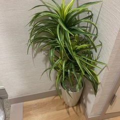 お譲り先決まりました！観葉植物フェイクグリーン⭐︎高さ80cmお手入れ要らずの画像