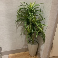 観葉植物フェイクグリーン⭐︎高さ80cmお手入れ要らず