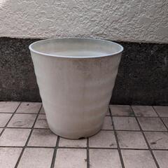♬　♬　大き目のプラスチック鉢　♬
