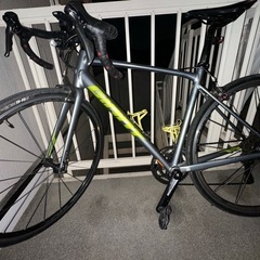 giant contend2

