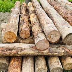 丸太 一本あたり　DIY キャップ 焚き火 土止め 杭　薪ストーブの画像